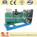 40KW Small Yuchai Diesel Canopy Generator